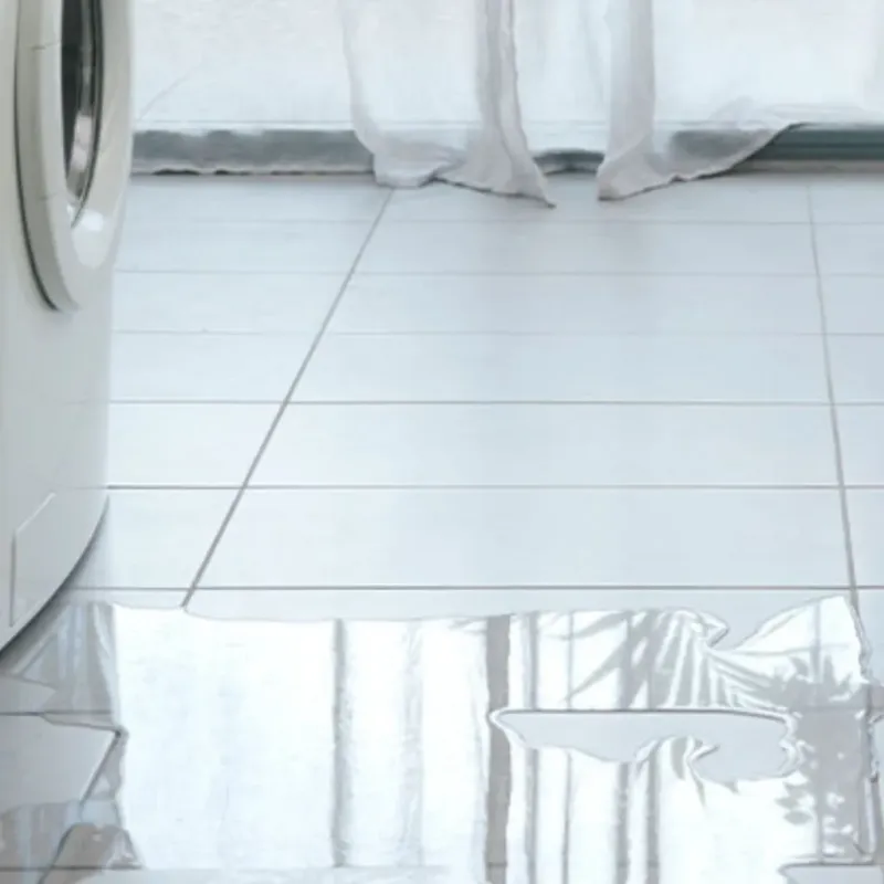 Appliance Leak Cleanup in Sebastopol, CA