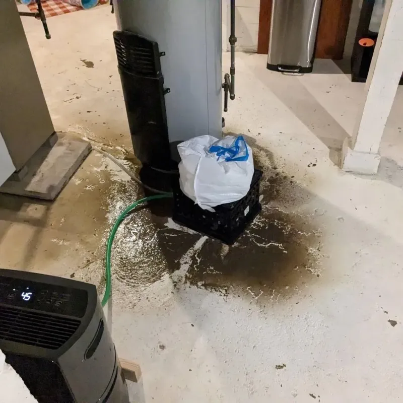Sewage Backup Cleanup Service in Sebastopol, CA